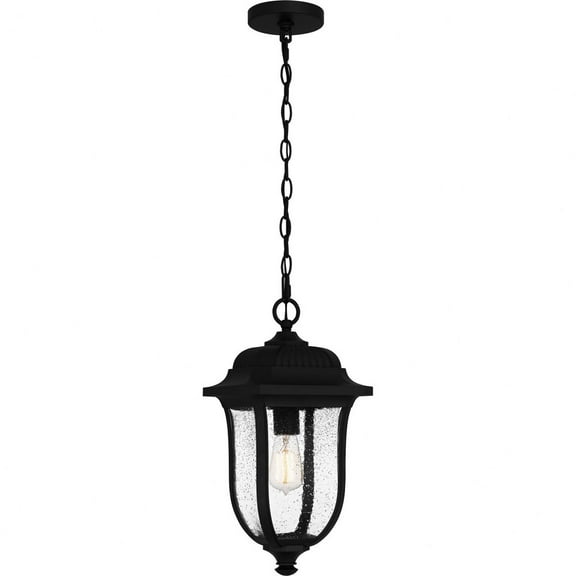 Quoizel Mulberry 1-Light Matte Black Outdoor Hanging Lantern