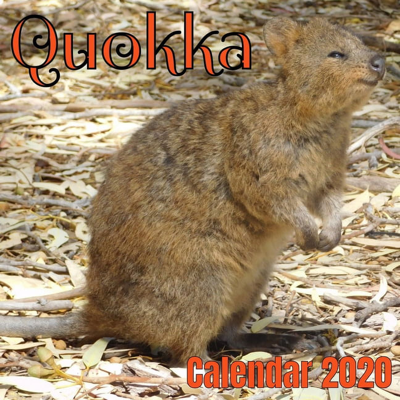 Quokka Calendar 2025 