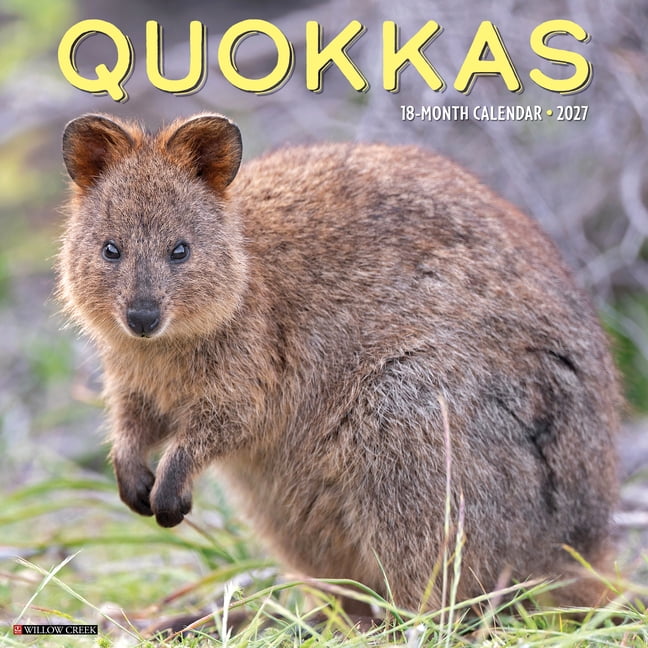 Quokkas 2027 12 X 12 Wall Calendar, (Paperback)
