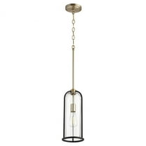Quorum Lighting Espy 1-Light Pendant, Noir/Aged Brass, Glass, 6.25W x 15H, Incandescent, Damp Rated