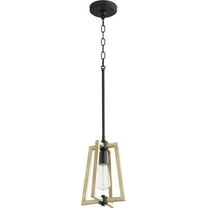 Quorum Lighting Alpine 1-Light Pendant, Noir/Driftwood, 8W x 12H, Incandescent, Dry Rated