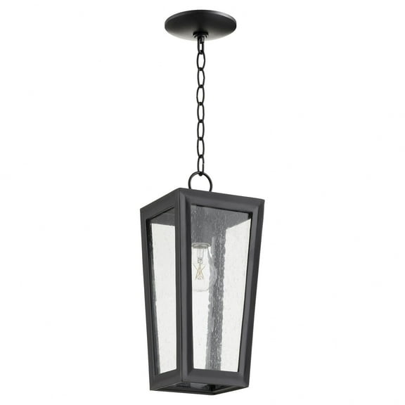 1 Light Outdoor Pendant Quorum Lighting 716-6-69