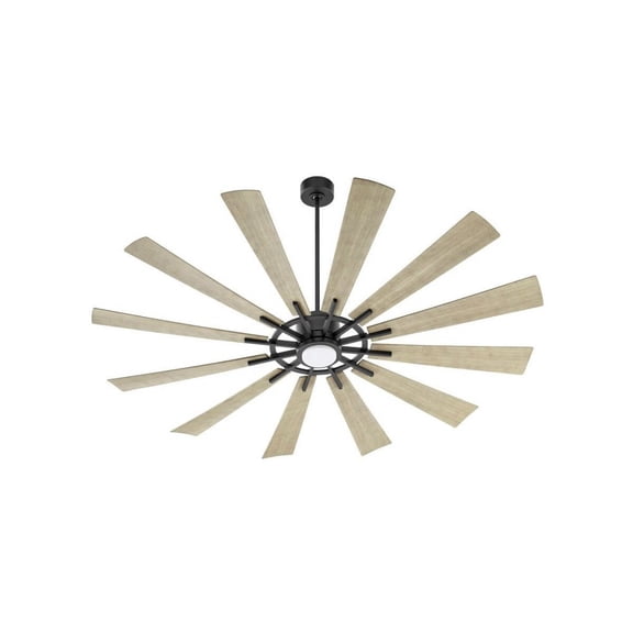 Quorum Lighting - Cirque - 12 Blade Patio Fan with Light Kit-15 Inches Tall and