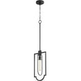 thumbnail image 1 of 3102-69 Quorum Lighting 1 Light Pendant in Traditional style - 8 inches wide by 18.5 inches high     -Traditional Installation, 1 of 1