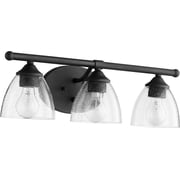 Quorum Lighting Brooks Glass Noir 3-Light Wall Sconce