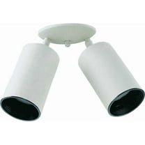 Quorum Lighting - Two Light Ceiling Mount - Ceiling Mount - 2 Light Bullet Flush