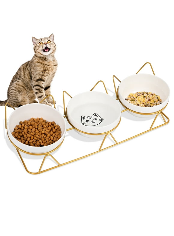 Qweryboo Cat Bowls, Ceramic Pet Bowls with Pattern, 15 Degree Tilted Raised Stand for Food and Water, Anti Vomiting Cat Dish Feeder, Perfect for Puppy Cats and Small Dogs