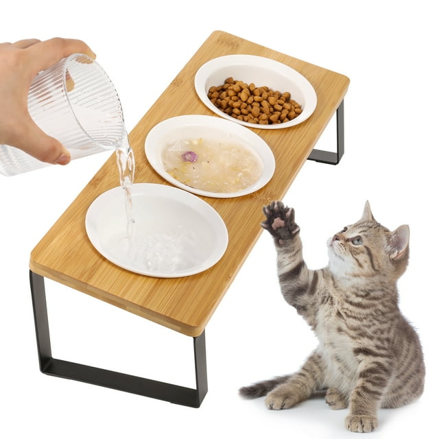 Qweryboo 15 Degree Tilted Ceramic Cat Bowls, Raised Pet Food Bowls