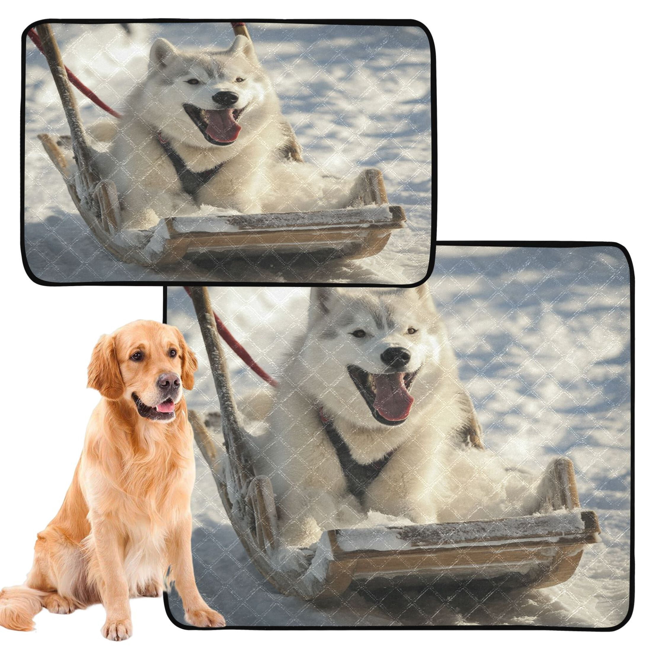 Qxltty Alaskan Dog on Sledge Cat litter Pads Pet Set of 2 Diaper Mats Center Anti-leakage Layer Absorbent Soft and Comfortable