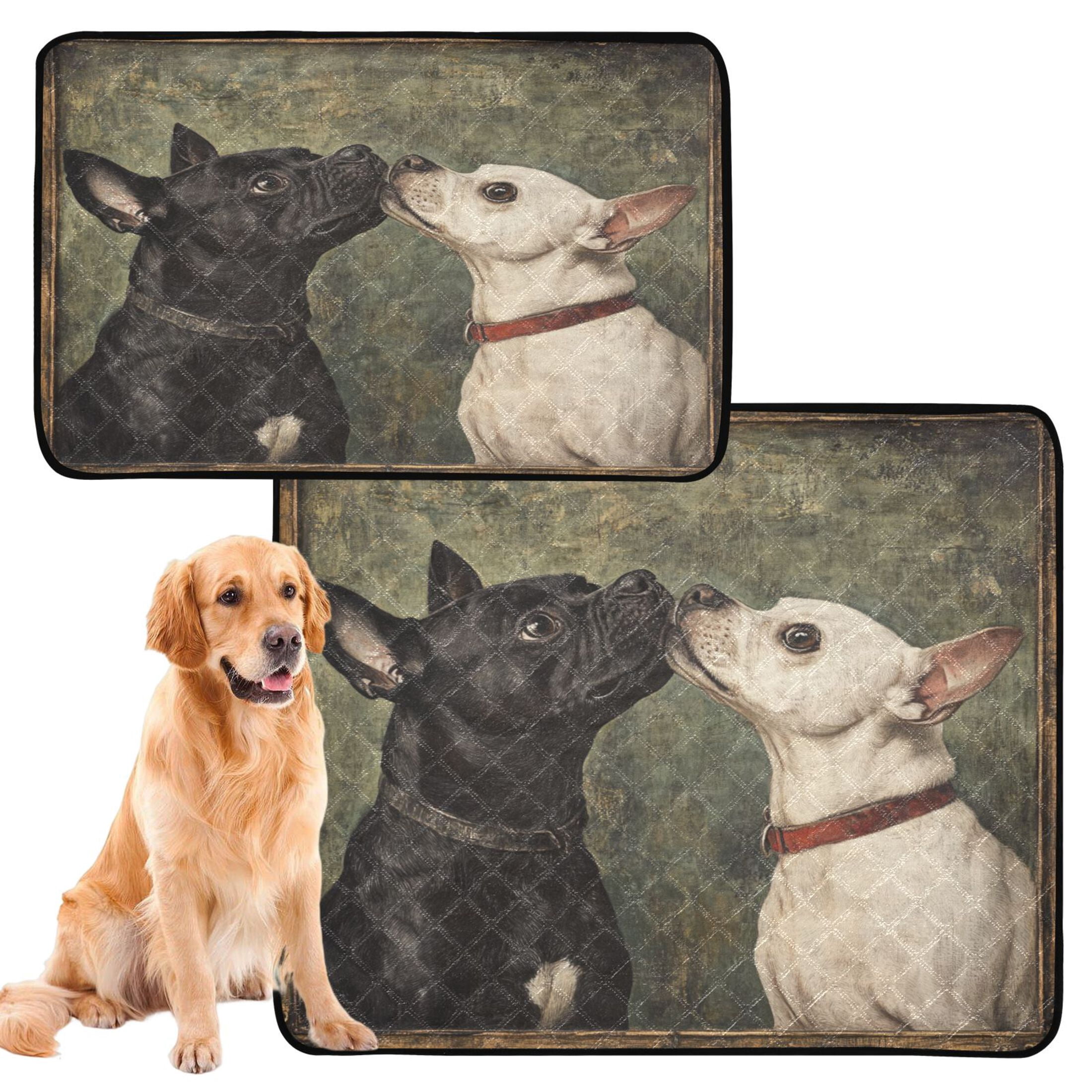 Qxltty Black and White Dog Cat litter Pads Pet Set of 2 Diaper Mats Center Anti-leakage Layer Absorbent Soft and Comfortable