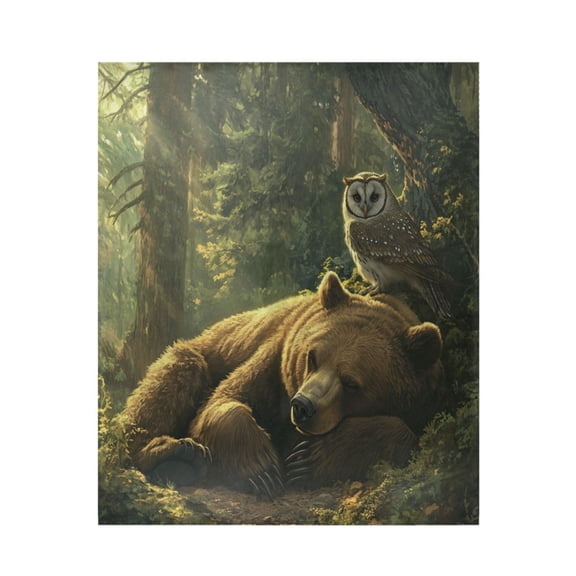 Qxltty Brown Bear Owl Resting Together Soft Cozy Fluffy Blankets for Couch Sofa Chair Bed Camping Picnic Travel Lightweight Bed 5060inch