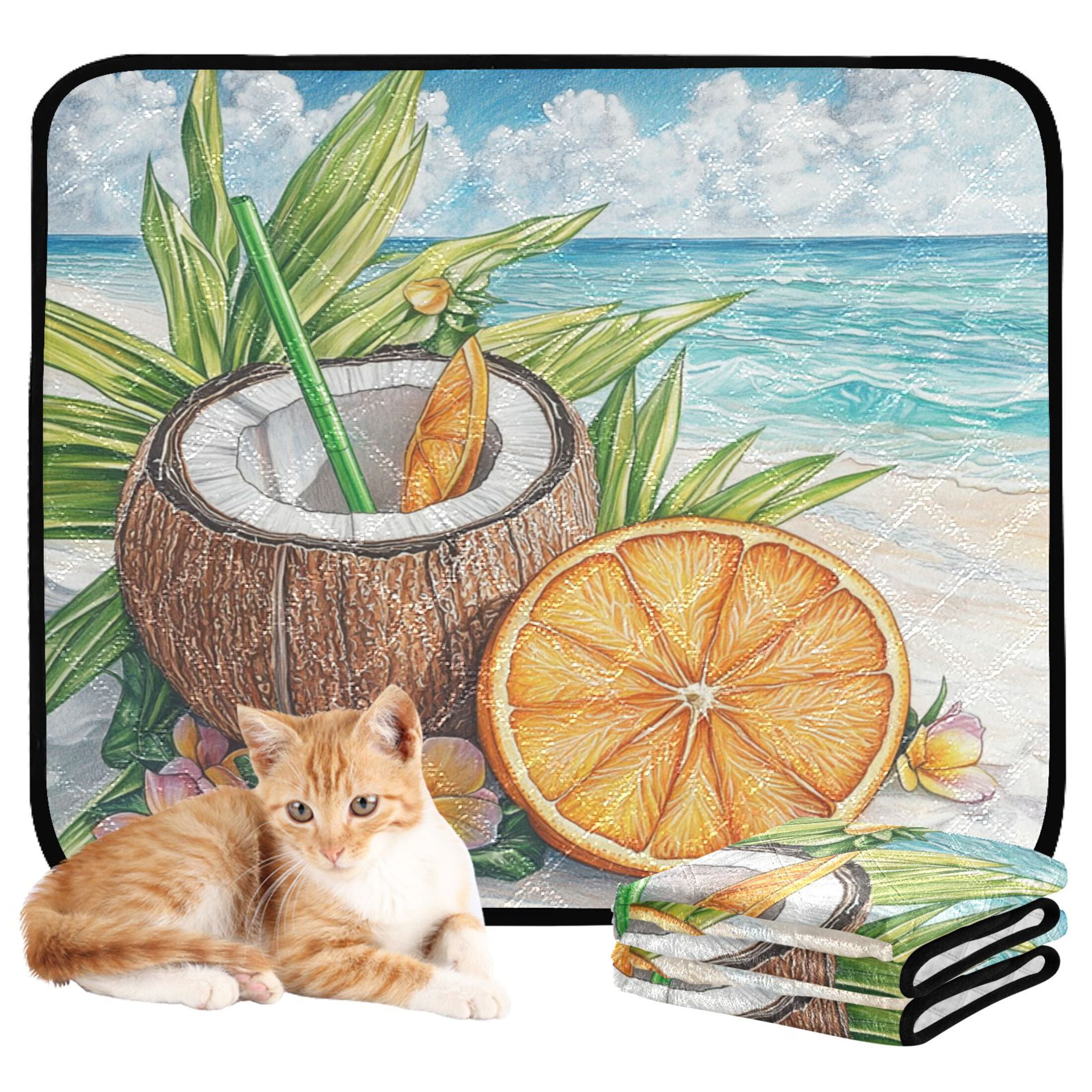 Qxltty Coconut Orange Slice Cat litter Pads Pet Set of 3 Diaper Mats Center Anti-leakage Layer Absorbent Soft and Comfortable