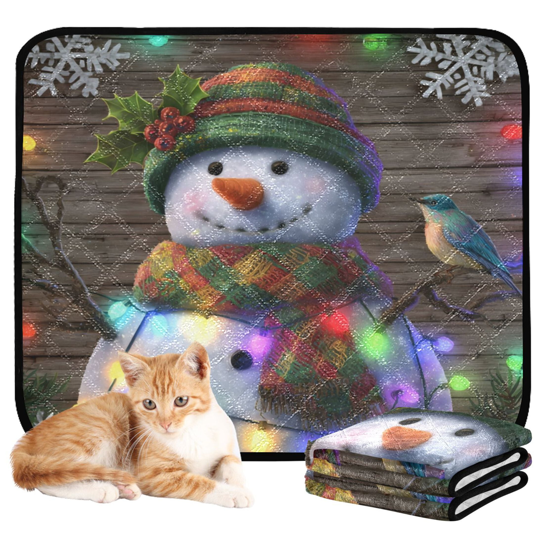 Qxltty Colorful Light Snowman Cat litter Pads Pet Set of 3 Diaper Mats Center Anti-leakage Layer Absorbent Soft and Comfortable