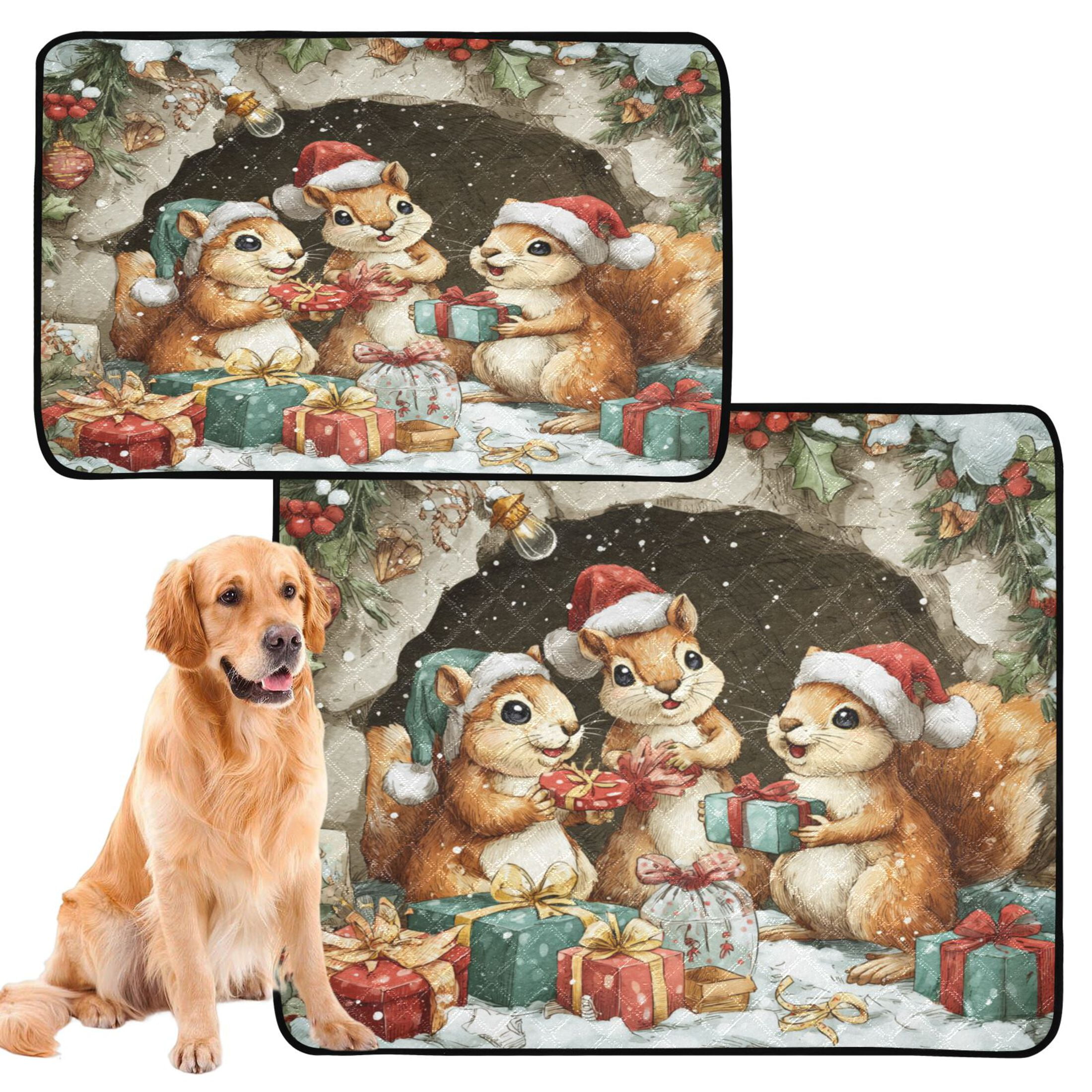 Qxltty Cute Baby Squirrels Cat litter Pads Pet Set of 2 Diaper Mats Center Anti-leakage Layer Absorbent Soft and Comfortable
