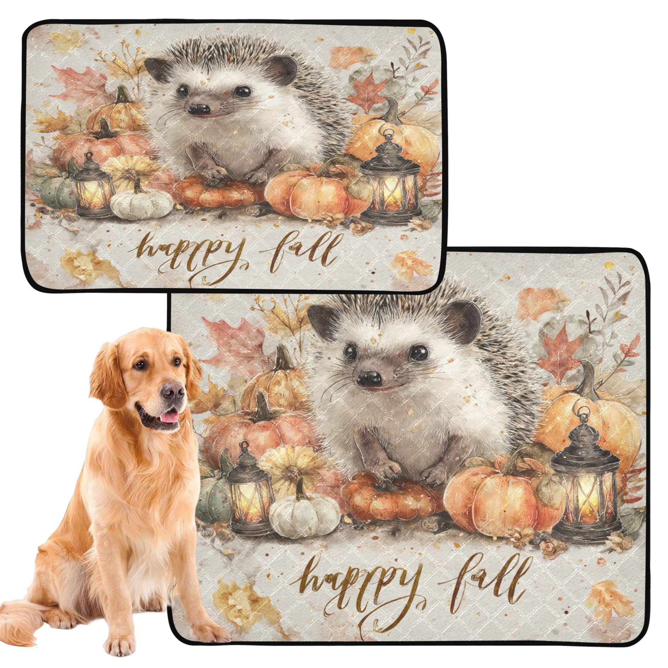 Qxltty Cute Hedgehog Cat litter Pads Pet Set of 2 Diaper Mats Center Anti-leakage Layer Absorbent Soft and Comfortable