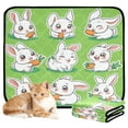 thumbnail image 1 of Qxltty Cute White Rabbits Eating Carrots Cat litter Pads Pet Set of 3 Diaper Mats Center Anti-leakage Layer Absorbent Soft and Comfortable, 1 of 7