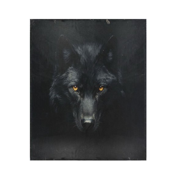 Qxltty Dark Wolf Face Soft Cozy Fluffy Blankets for Couch Sofa Chair Bed Camping Picnic Travel Lightweight Bed 5060inch