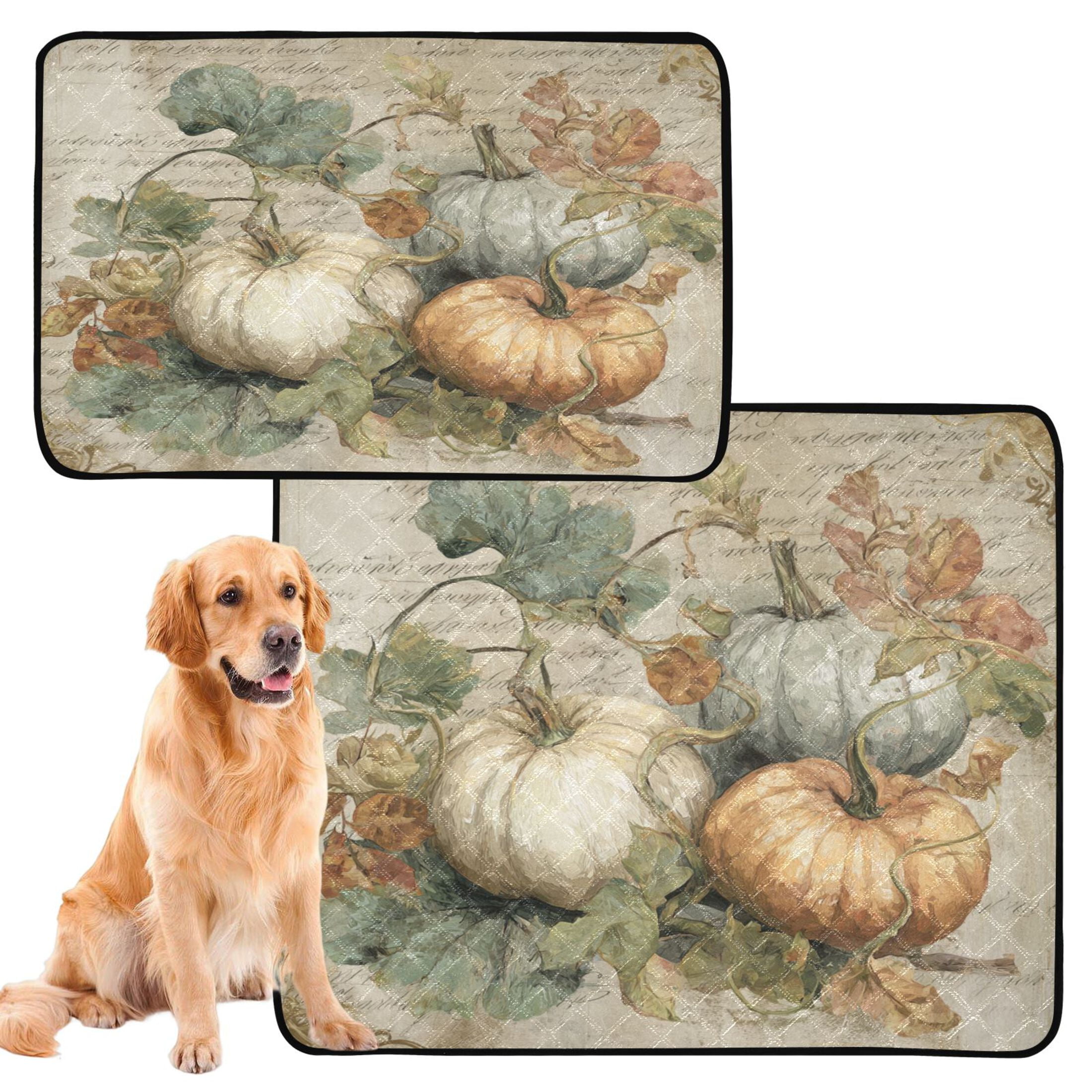 Qxltty Fall Pumpkin Maple Leaf Cat litter Pads Pet Set of 2 Diaper Mats Center Anti-leakage Layer Absorbent Soft and Comfortable