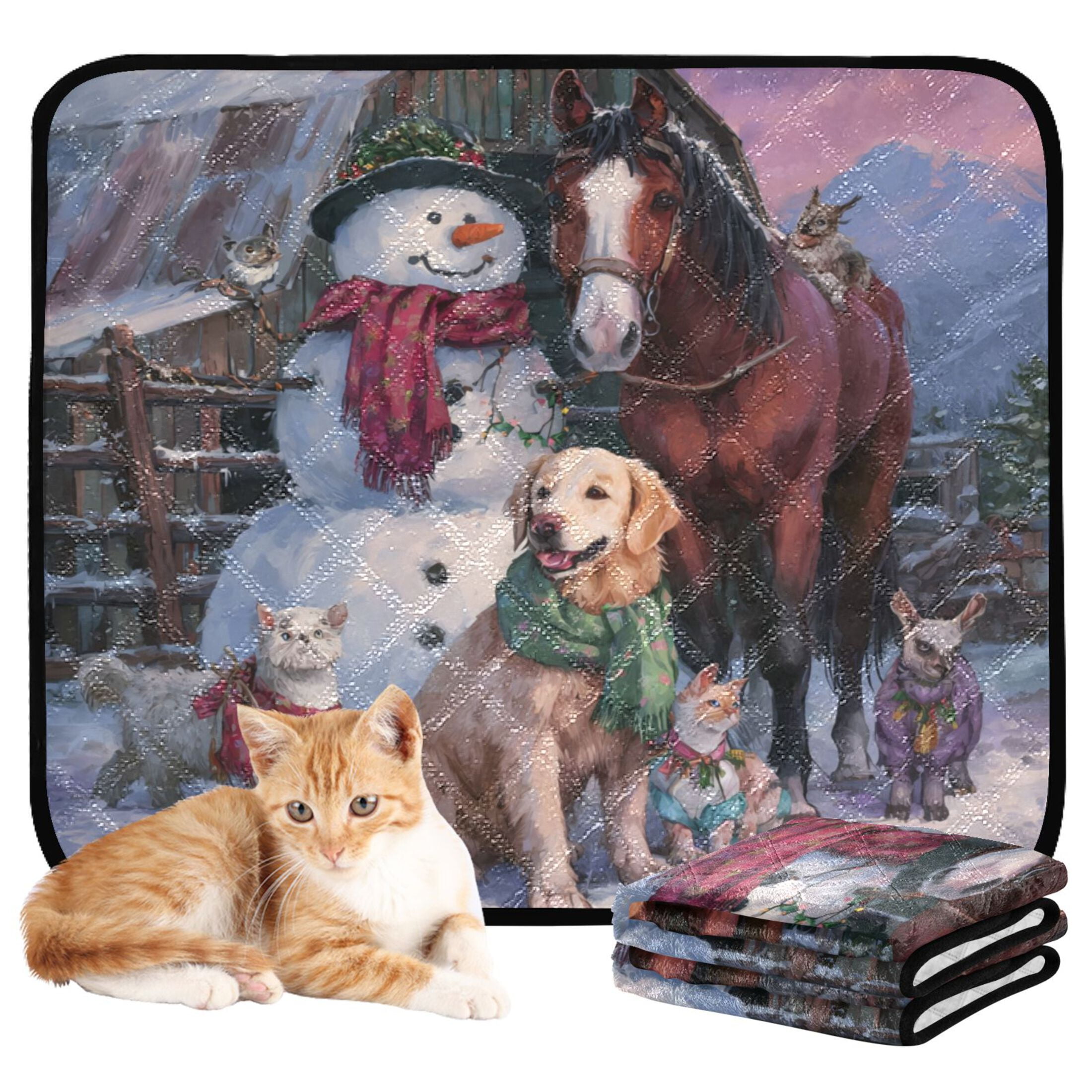 Qxltty Farm Snowman Cat litter Pads Pet Set of 3 Diaper Mats Center Anti-leakage Layer Absorbent Soft and Comfortable