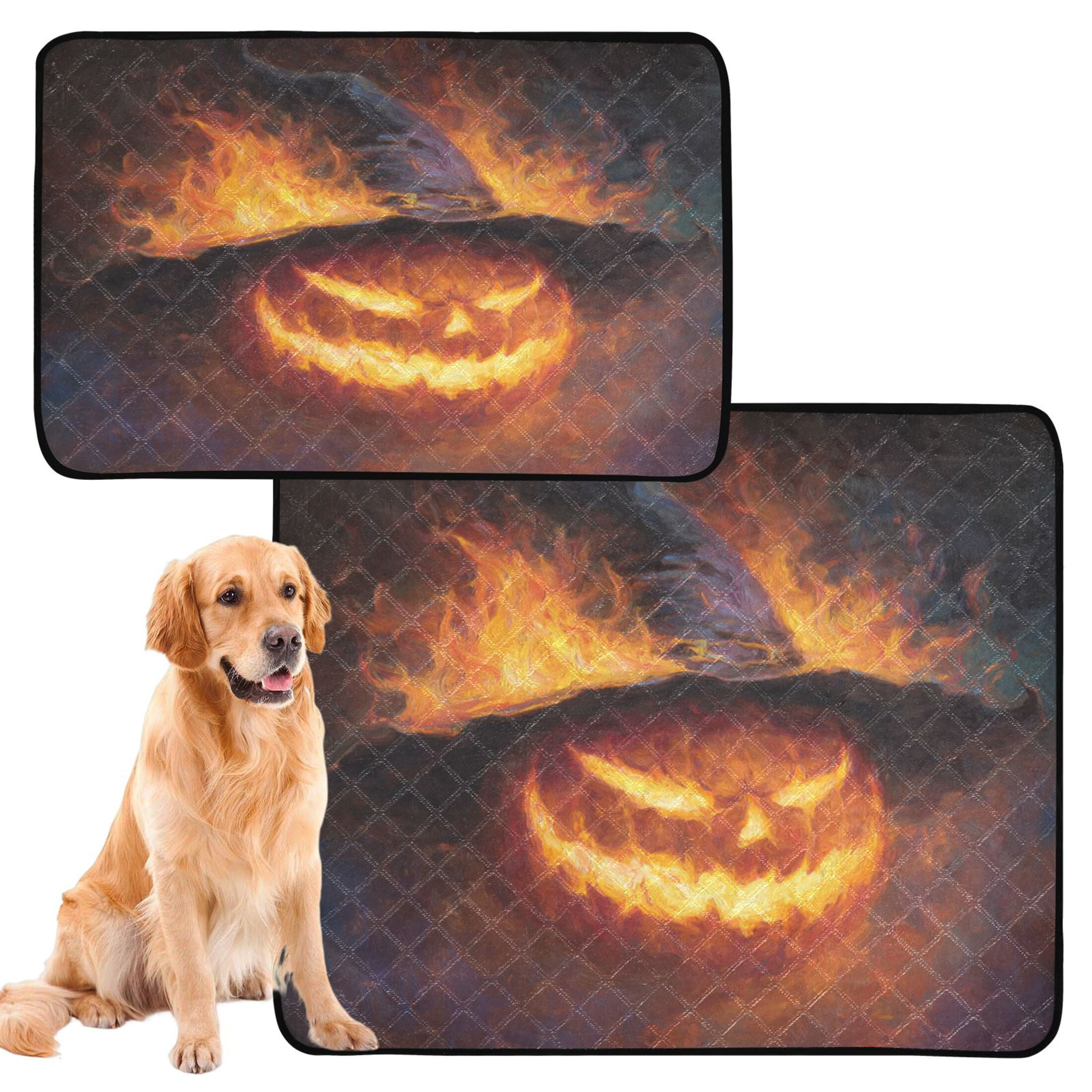 Qxltty Flaming Pumpkin Cat litter Pads Pet Set of 2 Diaper Mats Center Anti-leakage Layer Absorbent Soft and Comfortable