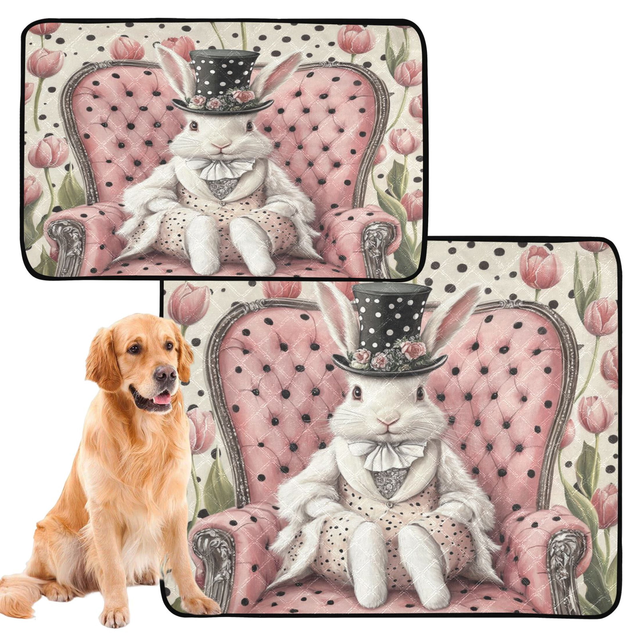Qxltty Gentleman White Rabbit Cat litter Pads Pet Set of 2 Diaper Mats Center Anti-leakage Layer Absorbent Soft and Comfortable