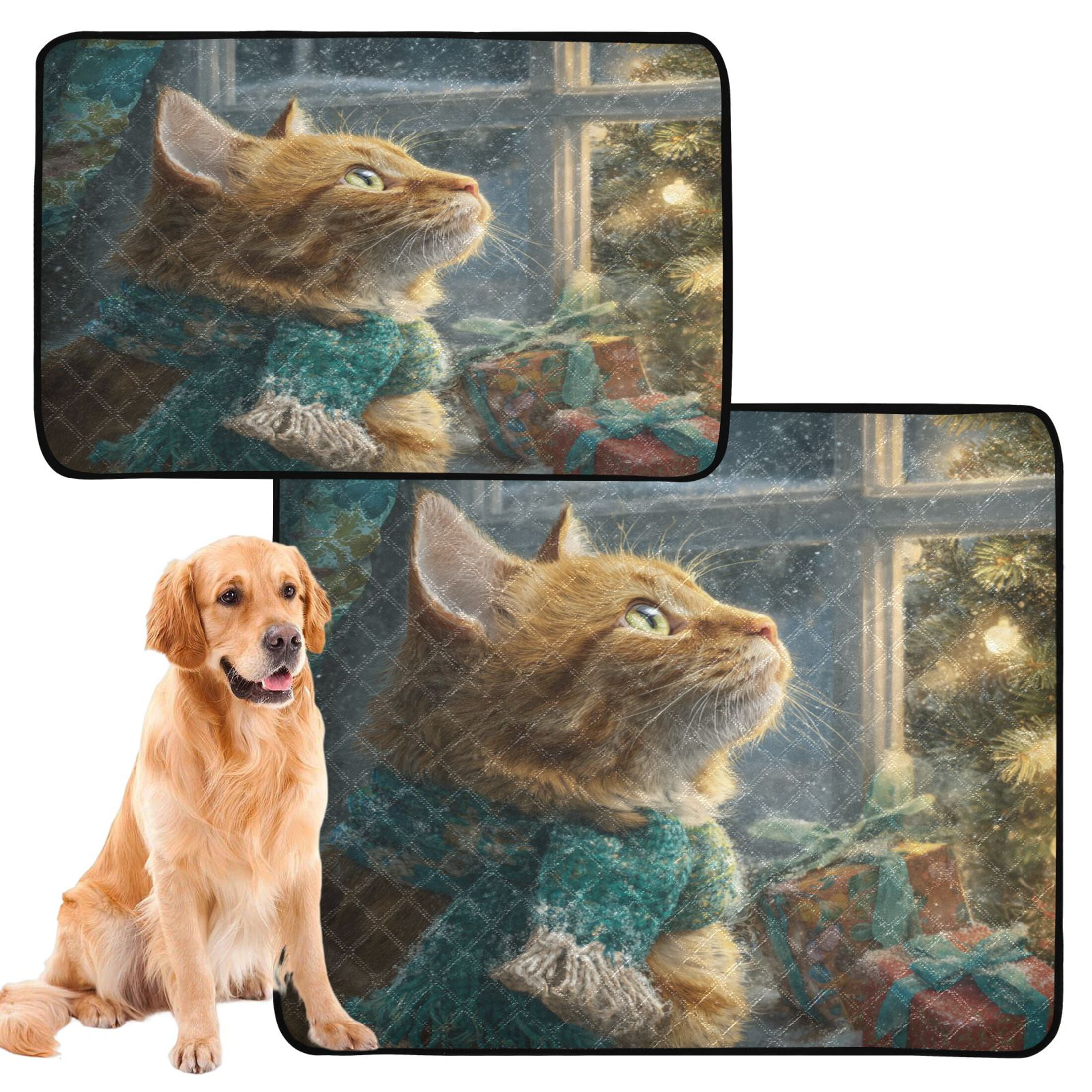 Qxltty Ginger Cat Cat litter Pads Pet Set of 2 Diaper Mats Center Anti-leakage Layer Absorbent Soft and Comfortable