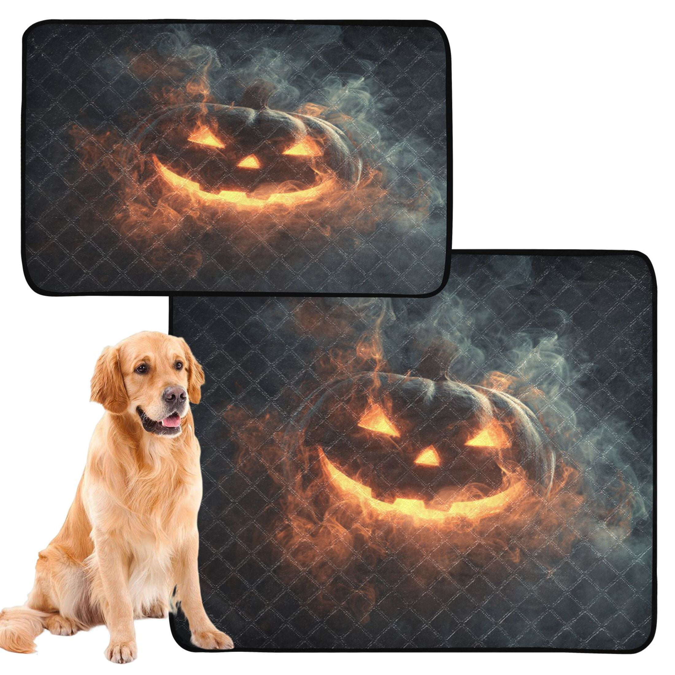 Qxltty Glowing Pumpkin Head Cat litter Pads Pet Set of 2 Diaper Mats Center Anti-leakage Layer Absorbent Soft and Comfortable