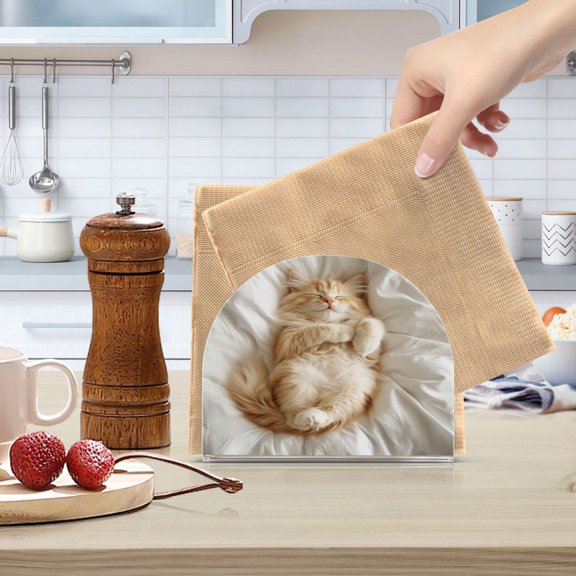 Qxltty Sleeping Cat Acrylic Napkin Holder Set of 1 Transparent Dining Table Kitchen Cafeteria Home Decor 4.1x4.9x1.97in