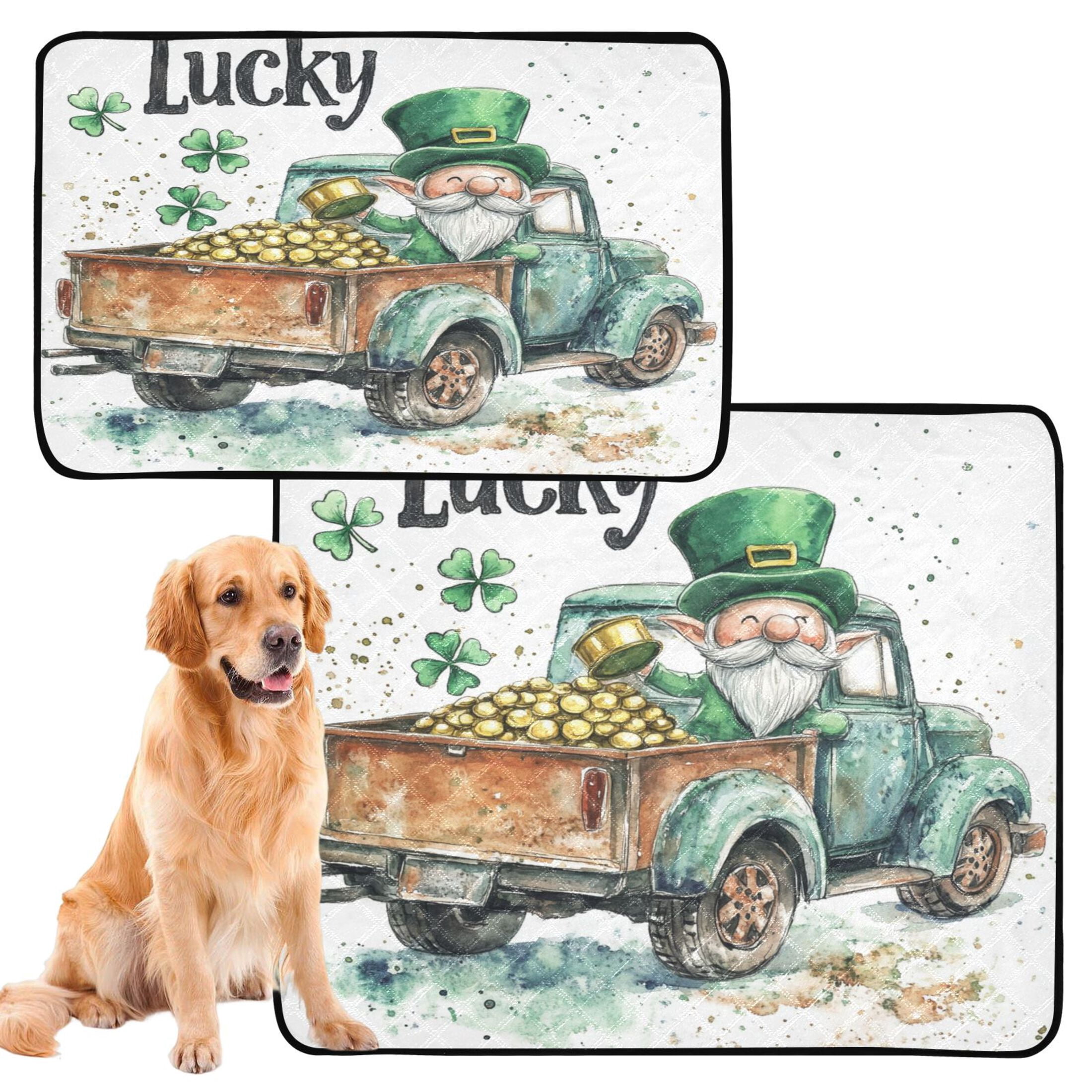 Qxltty St Patricks Day Lucky Car Cat litter Pads Pet Set of 2 Diaper Mats Center Anti-leakage Layer Absorbent Soft and Comfortable