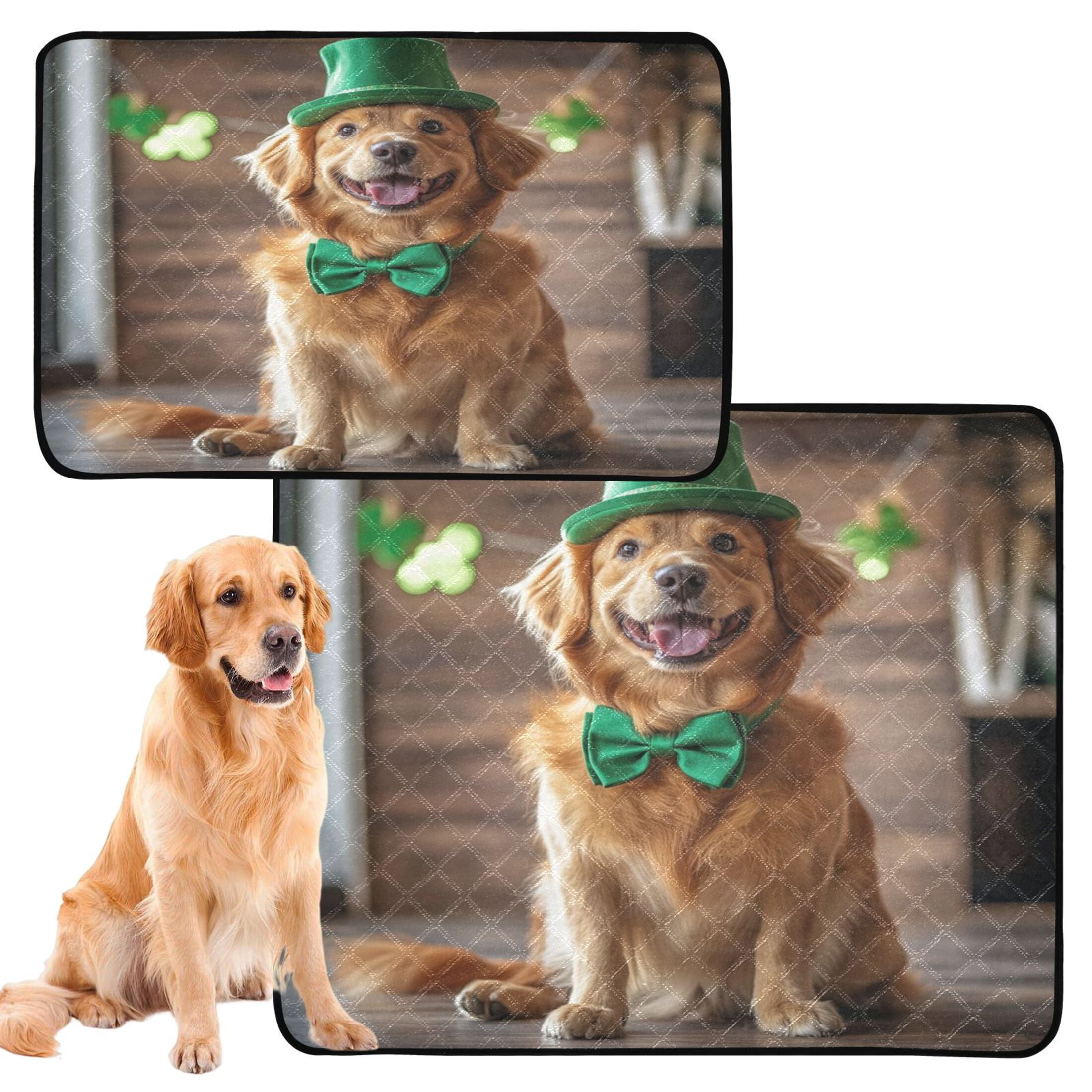 Qxltty St Patricks Golden Retriever Cat litter Pads Pet Set of 2 Diaper Mats Center Anti-leakage Layer Absorbent Soft and Comfortable