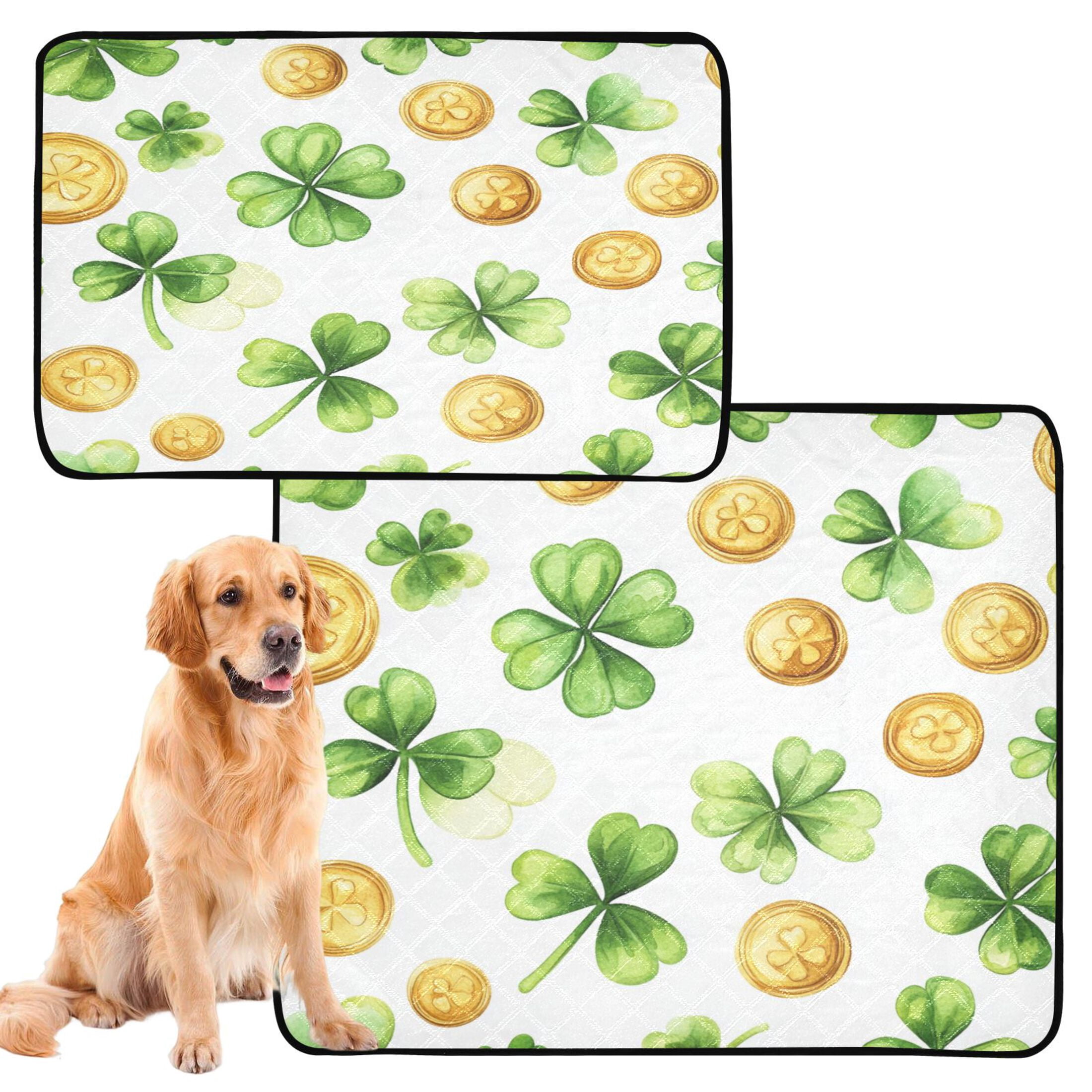 Qxltty St Patricks Shamrock and Gold Coin Patterns Cat litter Pads Pet Set of 2 Diaper Mats Center Anti-leakage Layer Absorbent Soft and Comfortable