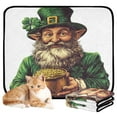 thumbnail image 1 of Qxltty Stpatricks Day Leprechaun Cat litter Pads Pet Set of 3 Diaper Mats Center Anti-leakage Layer Absorbent Soft and Comfortable, 1 of 7