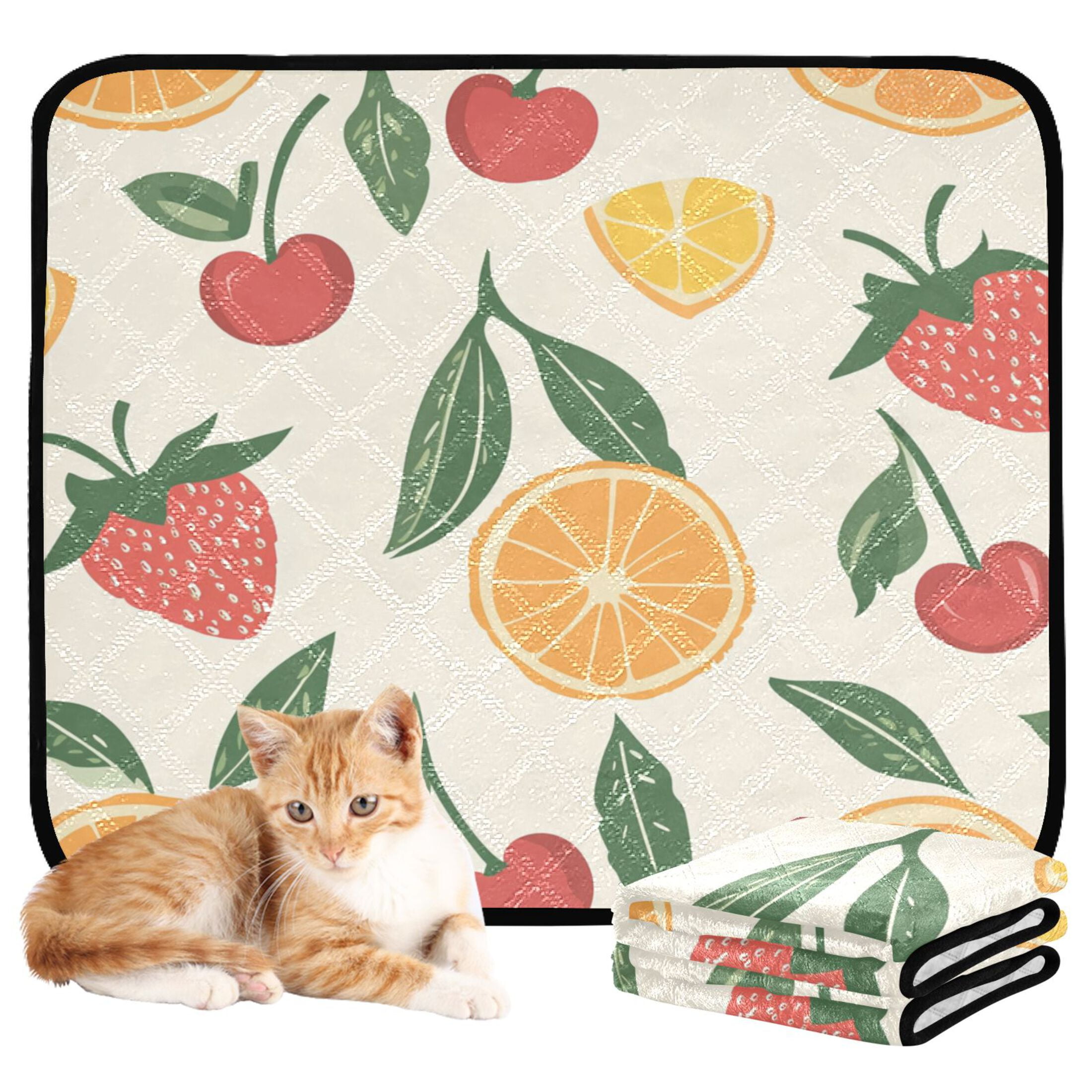 Qxltty Strawberries and Oranges on A Pastel Background Cat litter Pads Pet Set of 3 Diaper Mats Center Anti-leakage Layer Absorbent Soft and Comfortable