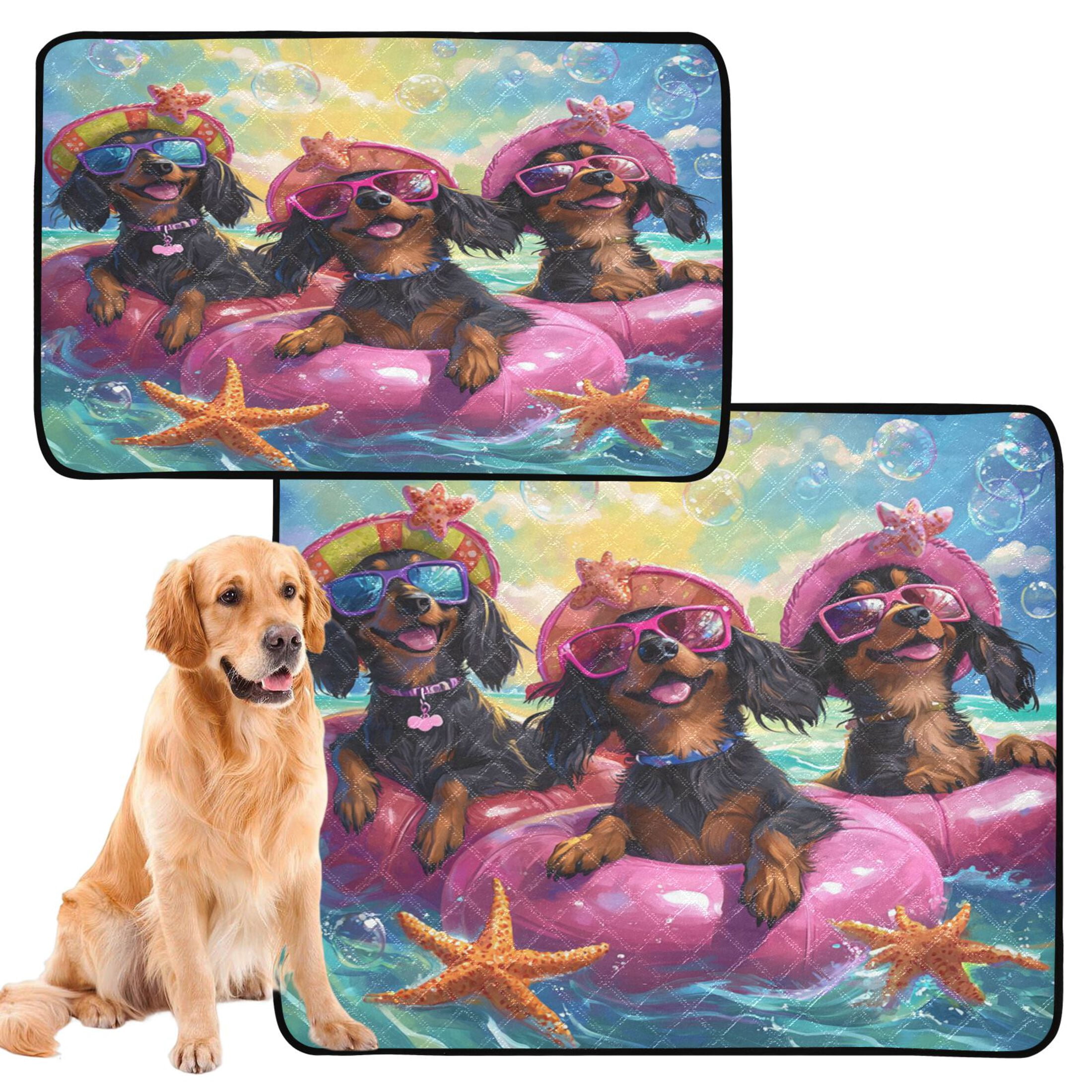 Qxltty Summer Dachshunds Cat litter Pads Pet Set of 2 Diaper Mats Center Anti-leakage Layer Absorbent Soft and Comfortable