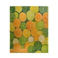 thumbnail image 1 of Qxltty The Pattern Of Orange and Lime Slices Soft Cozy Fluffy Blankets for Couch Sofa Chair Bed Camping Picnic Travel Lightweight Bed 50×60inch, 1 of 7