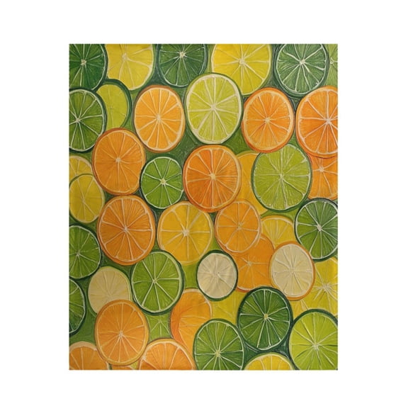 Qxltty The Pattern Of Orange and Lime Slices Soft Cozy Fluffy Blankets for Couch Sofa Chair Bed Camping Picnic Travel Lightweight Bed 50×60inch