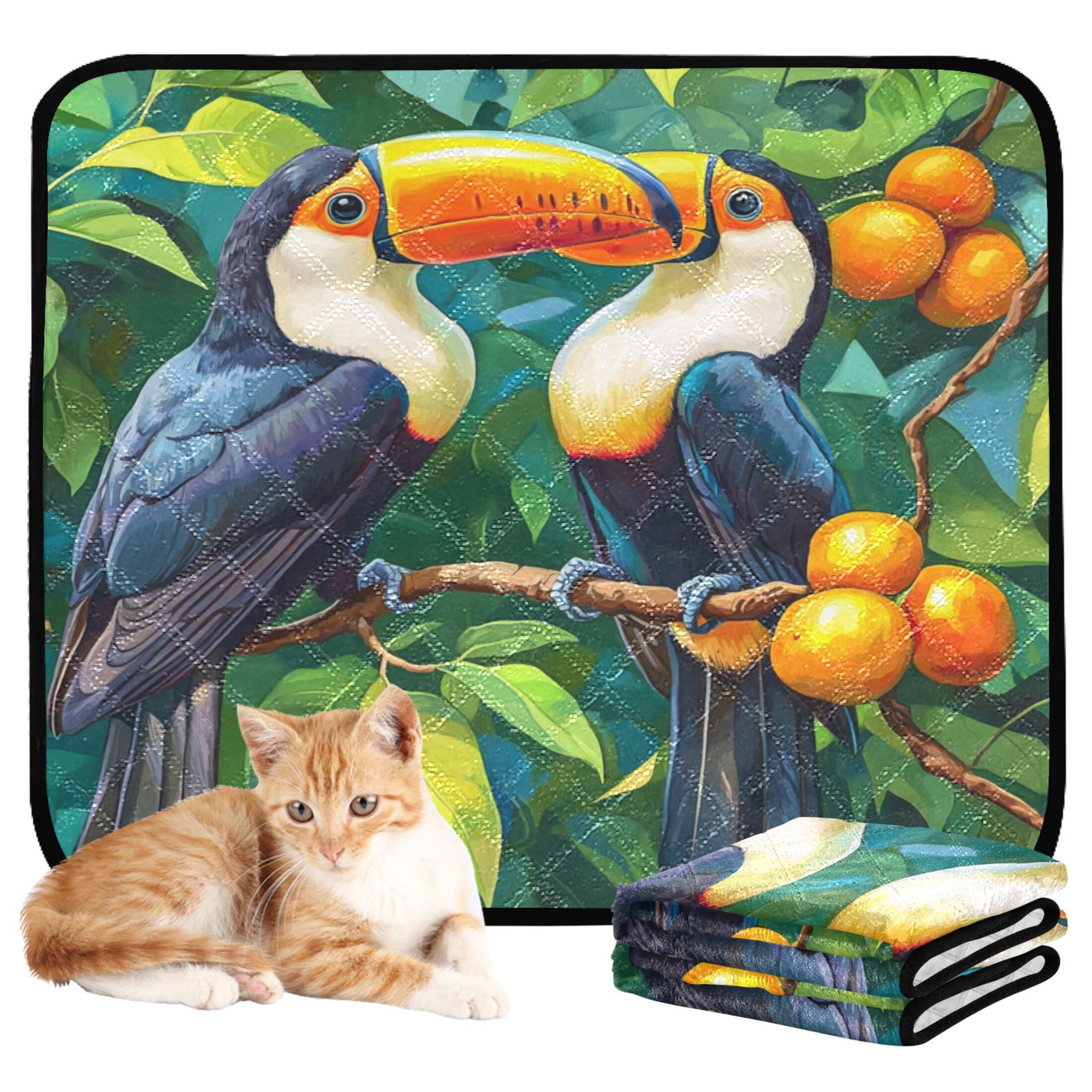 Qxltty Toucans Perched on Branches Cat litter Pads Pet Set of 3 Diaper Mats Center Anti-leakage Layer Absorbent Soft and Comfortable