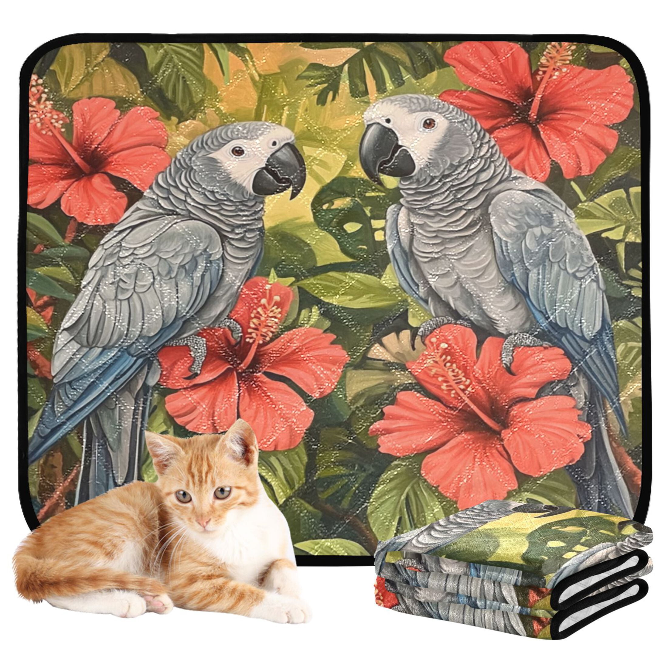 Qxltty Two Playful Gray Parrots Cat litter Pads Pet Set of 3 Diaper Mats Center Anti-leakage Layer Absorbent Soft and Comfortable