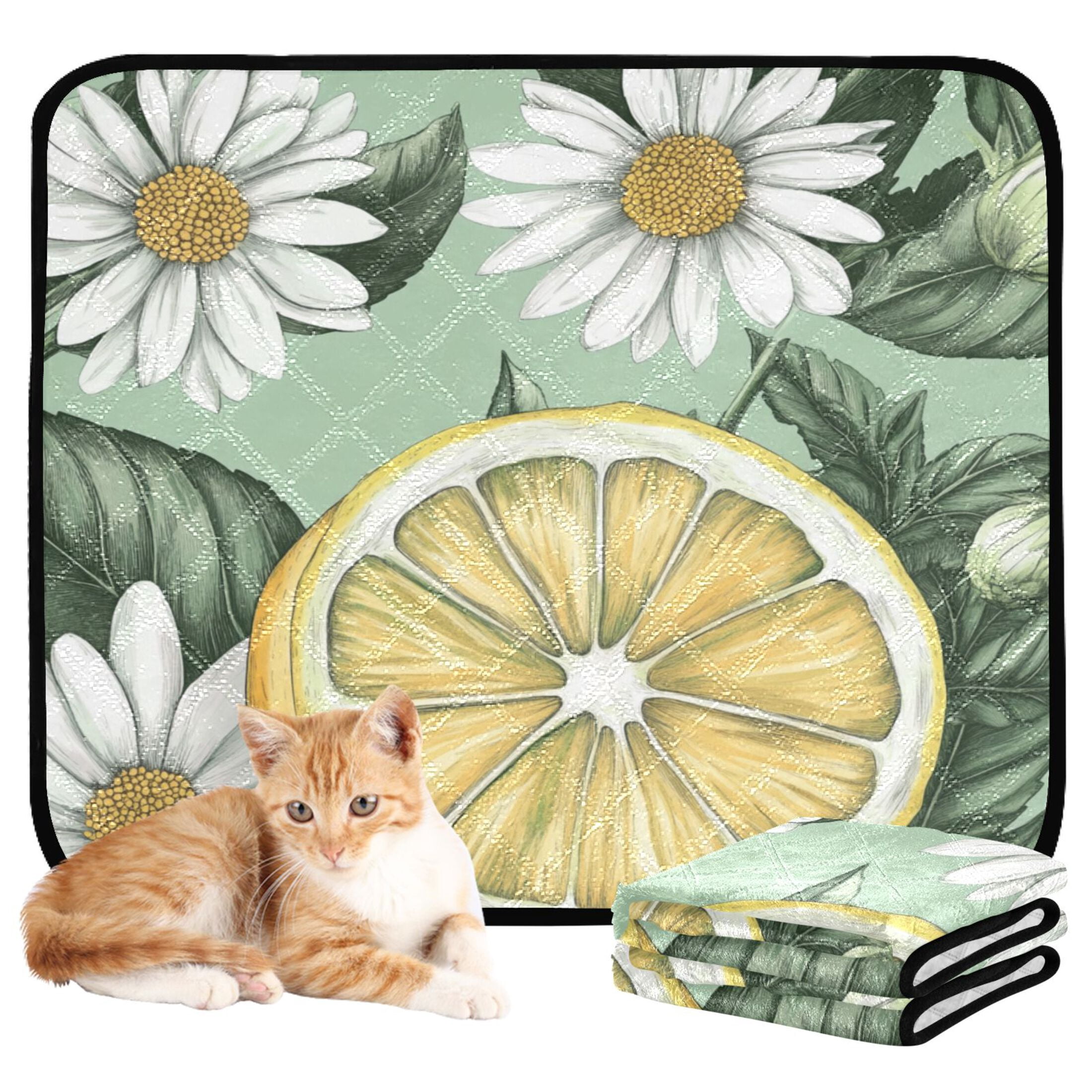 Qxltty White Daisies with Lemons Pattern Cat litter Pads Pet Set of 3 Diaper Mats Center Anti-leakage Layer Absorbent Soft and Comfortable