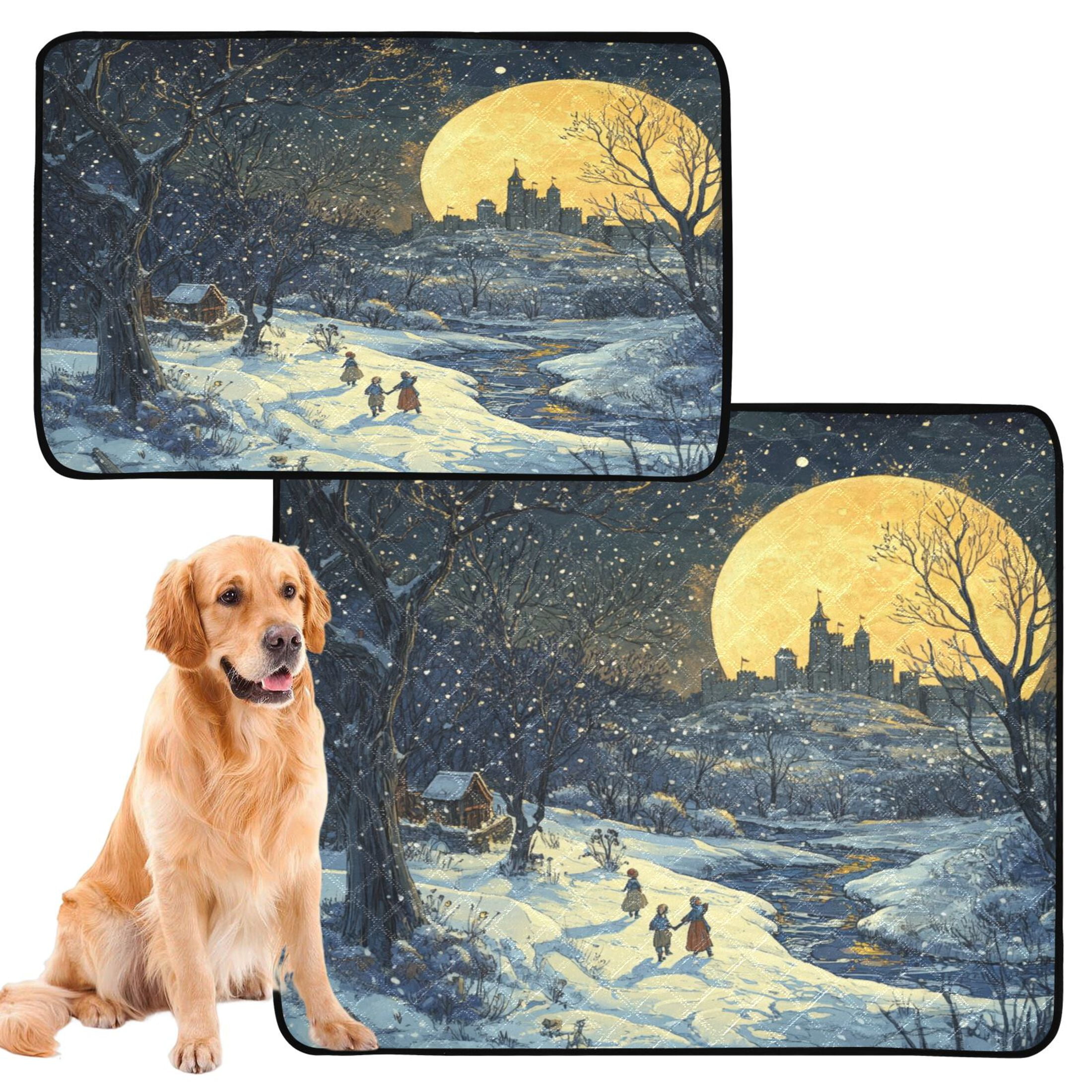 Qxltty Winter Village Scenery Cat litter Pads Pet Set of 2 Diaper Mats Center Anti-leakage Layer Absorbent Soft and Comfortable