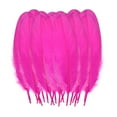 thumbnail image 1 of Qyaukm 50Pcs Natural Colorful Goose Feathers 12-16Cm for Diy Crafts, Dream Catchers, Wedding Centerpieces, Hair Accessories, Cat Toys, 50 Feathers, 1 of 1