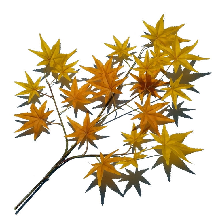 Qzuitopz Green plant Big Tree plane branch Orange Leaf Maple Leaf