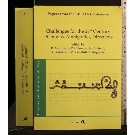 R. Colombo,F. Ruggieri,L. Papers from the 24th AIA Conference, challenges for the (Hardcover)