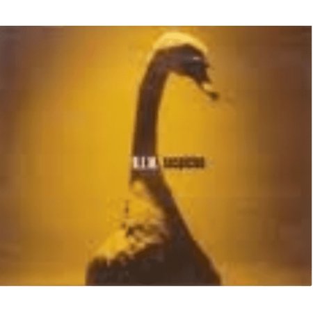 R.E.M.-SUSPICION -CDS-