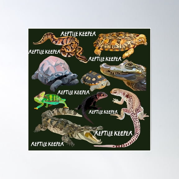 R Is For Reptile Keeper Poster Wall Art, Modern Wall Decor, 24x36 UNFRAMED