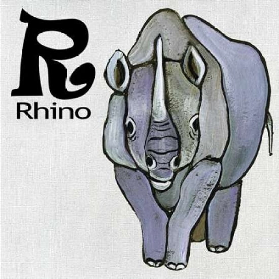 R - Rhino Canvas Art - Shanni Welsh (24 x 24)