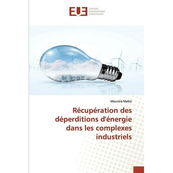 Récupération des déperditions d'énergie dans les complexes industriels (Paperback)