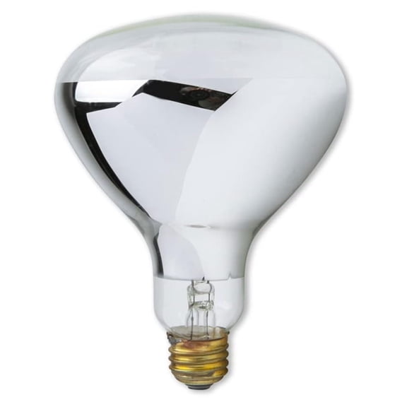 R40 500 Watt Pool Bulb Replacement for R40FL500/HG Incandescent Flood Reflector Inground Pool Light Perfect for Night Swimming - E26 Medium Screw Base - Frosted Glass - 120V