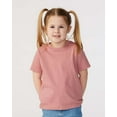 thumbnail image 1 of RABBIT SKINS Fine Jersey Toddler T-Shirt Boy & Girl| Kids Tee| Blank Child Tshirt, Mauvelous, 4T, 1 of 4