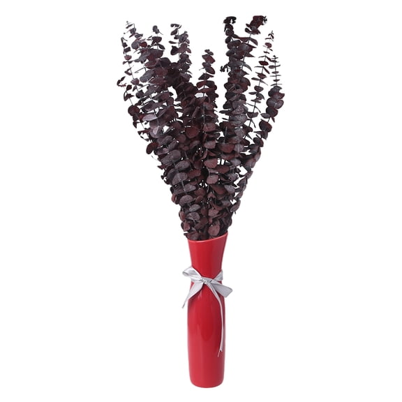 RABBITH 20Pcs Preserved for Fresh Eucalyptus Branches Dried Stems Plant Leaves Bouquet D
